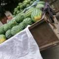 太康龙卷风大面积上市—18736111632