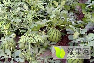 都可价格