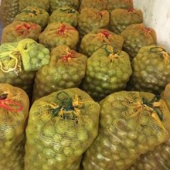 2016绛县核桃再不来就没机会了！