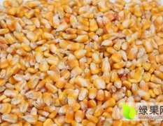 益阳市农望饲料厂求购：玉米、小麦、棉粕、菜