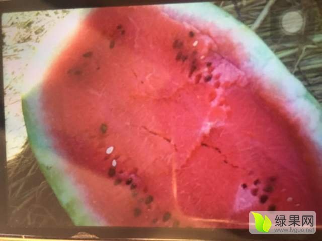 硒砂瓜价格