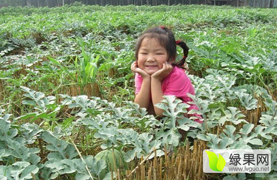 2016年河南开封龙卷风价格