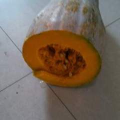 湖北嘉鱼兴蔬大果南瓜大量供货中...