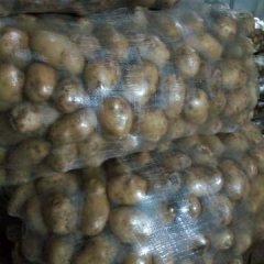 威宁土豆是名优特产,品种众多