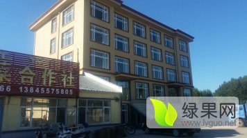 2016兰西万亩瓜菜种植基地