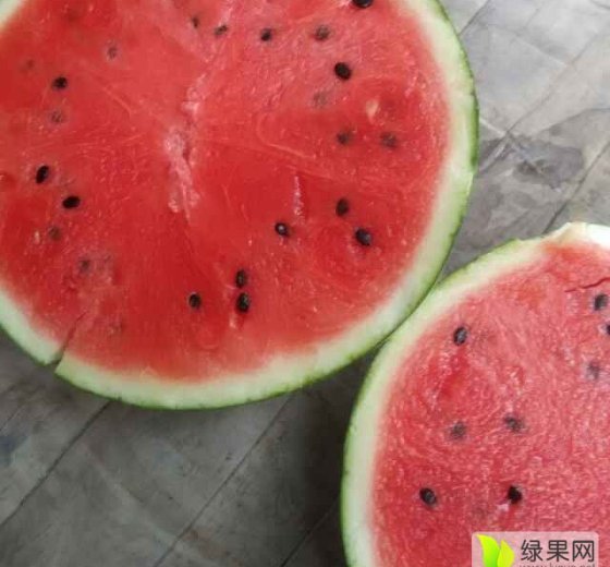 地雷瓜价格