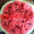我是怀德镇西瓜代办张继尧