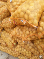 农家乐联合社杨刚供应1两半到3两边贸小土豆