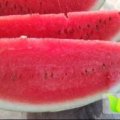 河南灵宝东研九号西瓜名扬天下