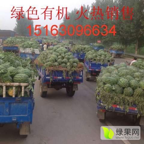 地雷瓜价格