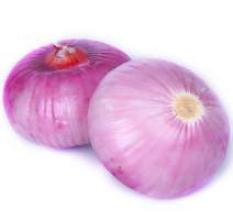 2016凌海洋葱【价格便宜】【货源充足】