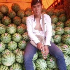 本地瓜农，专业代理西瓜