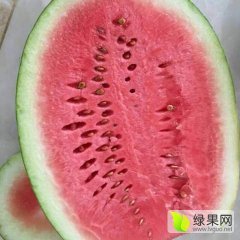 榆林定边西瓜开始上市了