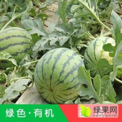 甜王 美都 品种繁多