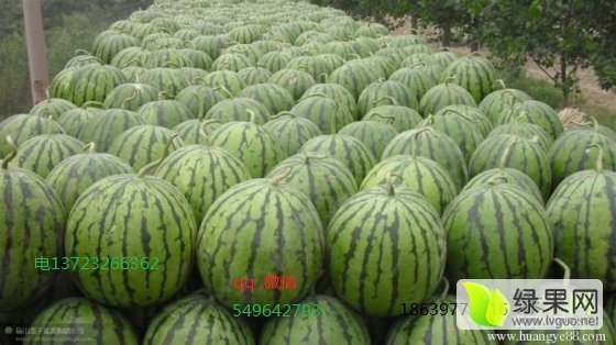 龙卷风价格