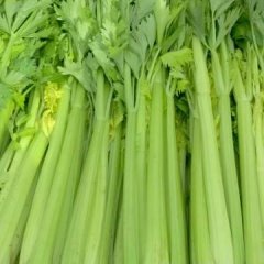 安定内官马彦龙7月美国西芹芹菜