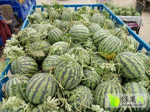 2016年山东东明龙卷风价格