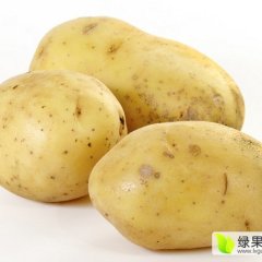 2016乾安土豆再不来就没机会了！