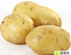 2016乾安土豆再不来就没机会了！