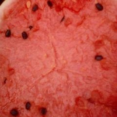 西瓜价格最低、口感上乘