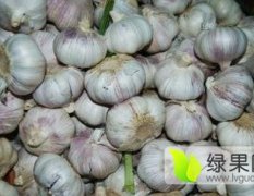 安丘大蒜名优产品赵戈王海波