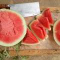 通许高顶金琳昆7月花皮无籽西瓜
