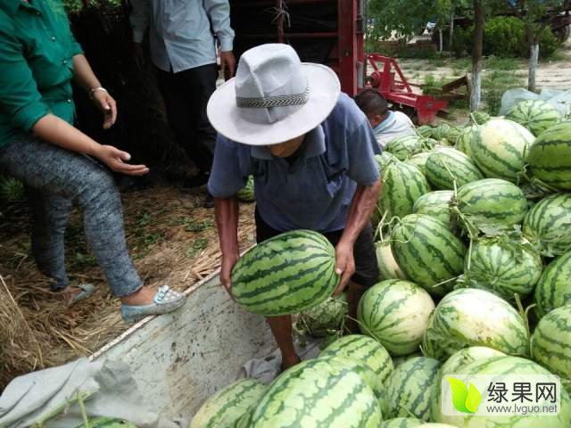 龙卷风价格