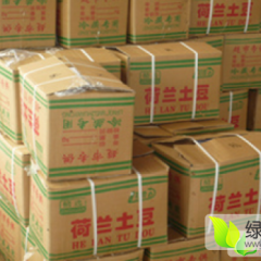 滕州冷库土豆---大量供应! ! !