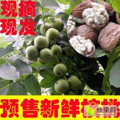 2016周至核桃今年价格有看点