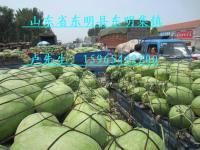 新红宝价格