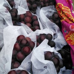 永年张西李帅涛7月乒乓球葡萄