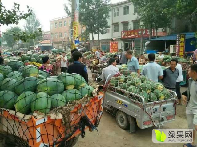 2016年河南太康花皮无籽价格