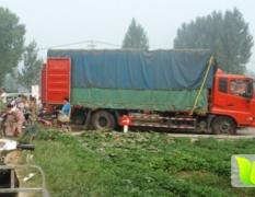 河南兰考龙卷风，地雷西瓜火热上市