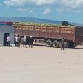 山东昌邑新丰五号西瓜火热上市