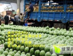 洮南車力齊浩7月地雷瓜西瓜