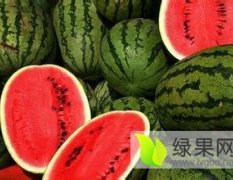 2016合阳西瓜今年价格有看点