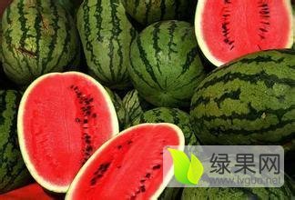 2016合阳西瓜今年价格有看点