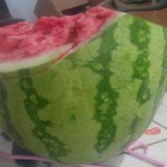 周口河南栾建新7月硒砂瓜西瓜