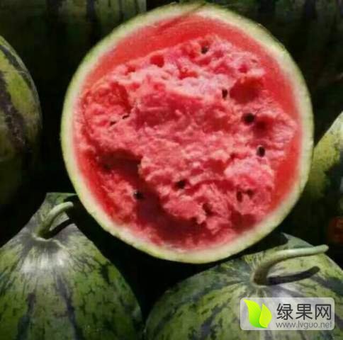 冠龙价格