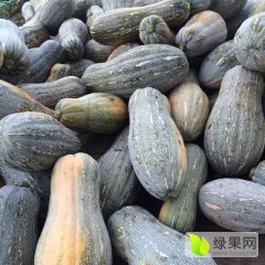 湖南常德安乡芦林铺南瓜甜、品质优