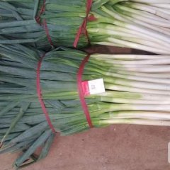 安丘是全国主要的大葱产地