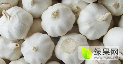 2016年山东金乡金乡大蒜价格