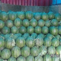 内蒙赤峰乌丹杨六子13847965051