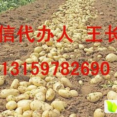 公主岭怀德王长海诚信代办