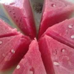 开封通许花皮无籽龙卷风8424西瓜代办花无籽