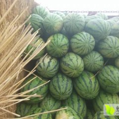 赤峰代办 ，李杰：13847623936