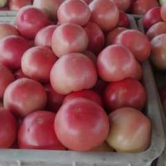 东昌府西红柿代收李海峰