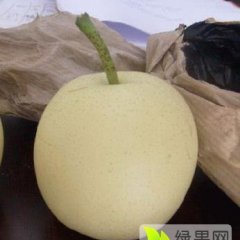 山东临沂市兰山皇冠梨丰水梨供应