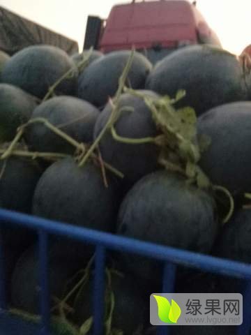 黑金刚价格