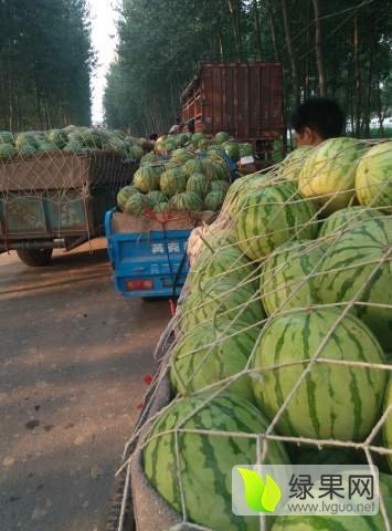 花皮无籽价格